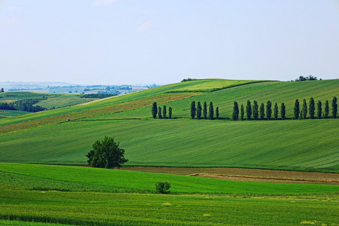 San Salvatore Monferrato - Valdolenga 2021 - Claudio Poggio su Unsplash