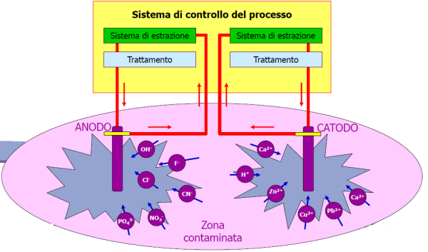 Elettroforesi